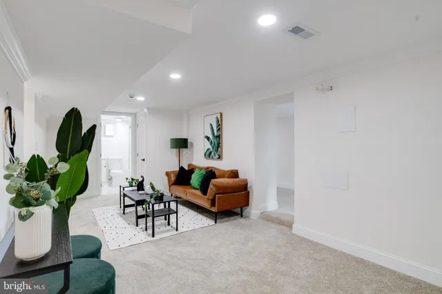 a living room with furniture flowerpot and a potted plant