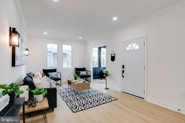a living room with furniture potted plant and wooden floor