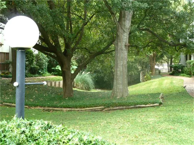 a view of a park with large trees