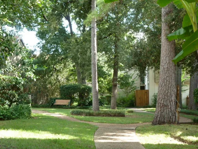 a view of yard with green space
