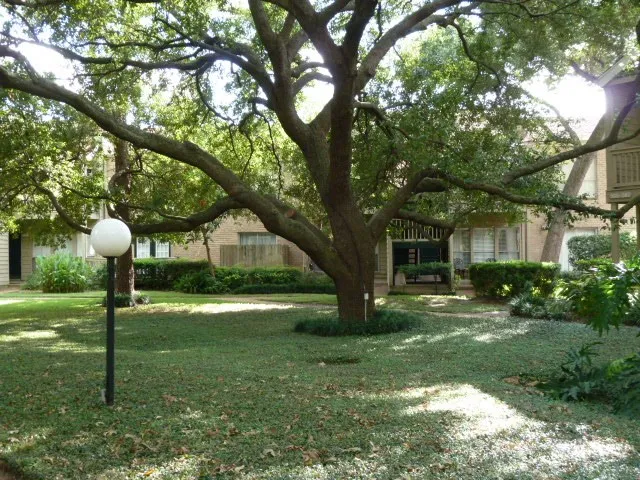 $1,300 | 2100 Tanglewilde Street, Unit 247, Houston, TX 77063