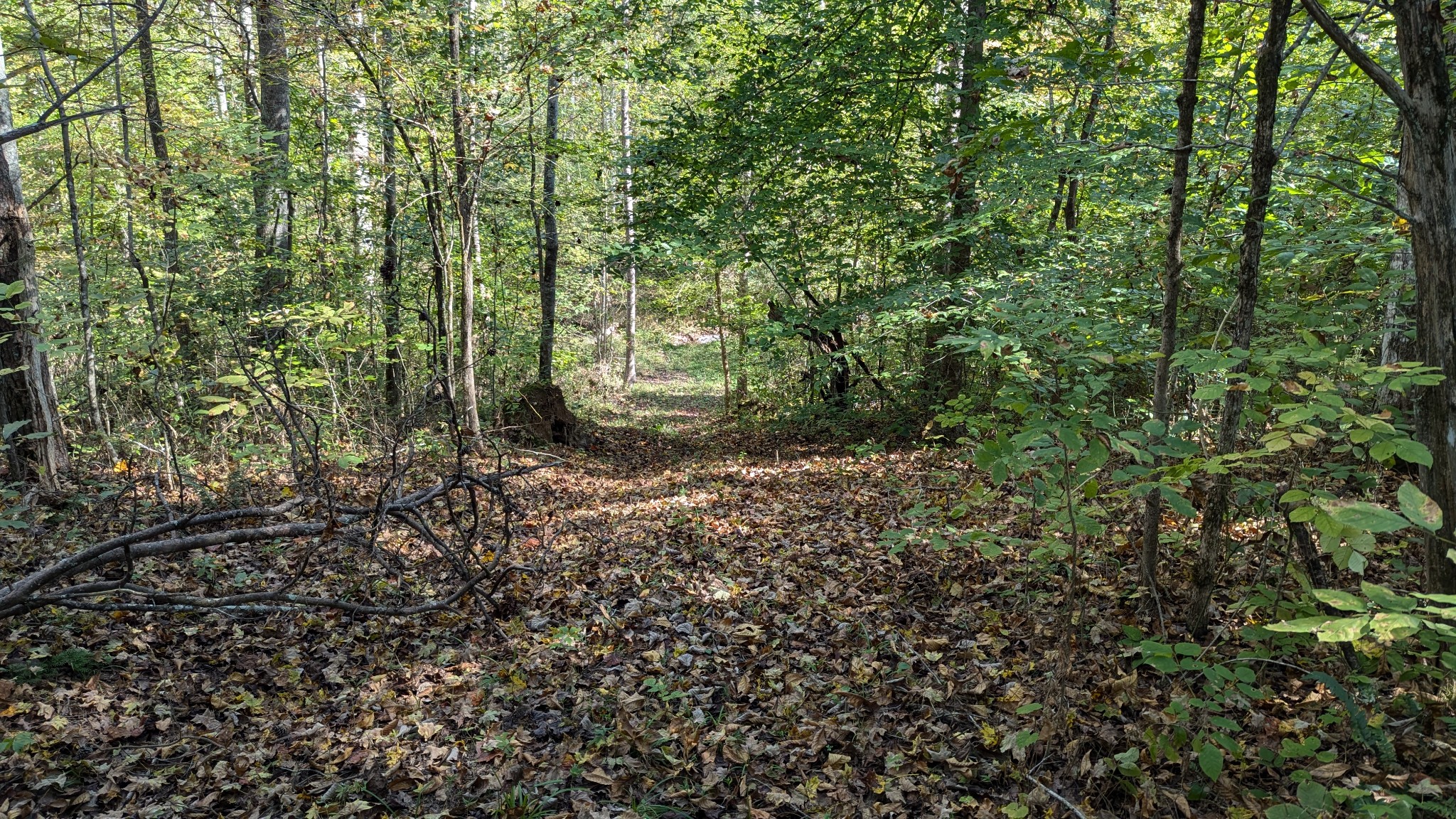 7500 Antioch Road Smithville, TN 37166 - Photo 13 of 36 Gallery Image 13