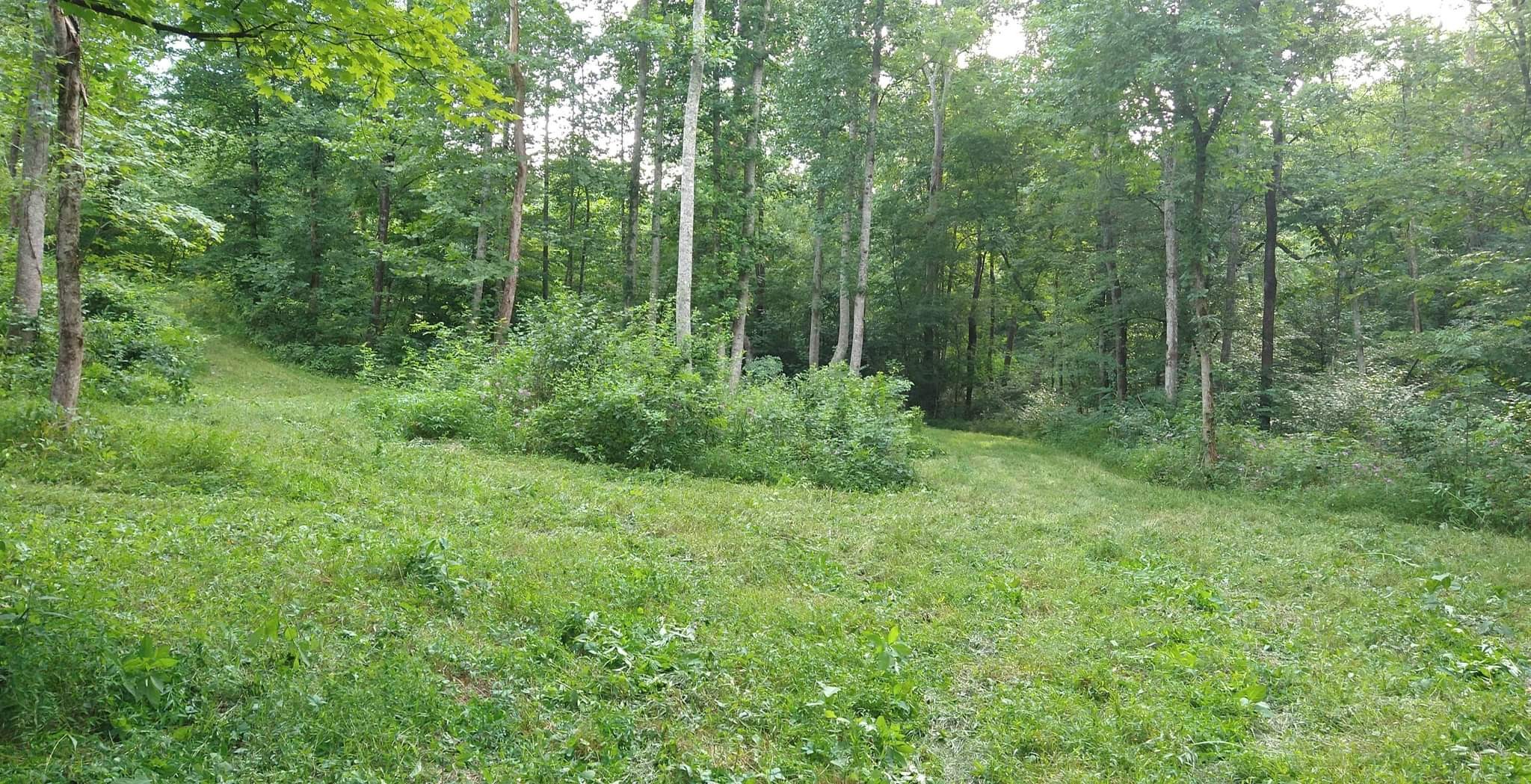 7500 Antioch Road Smithville, TN 37166 - Photo 14 of 36 Gallery Image 14