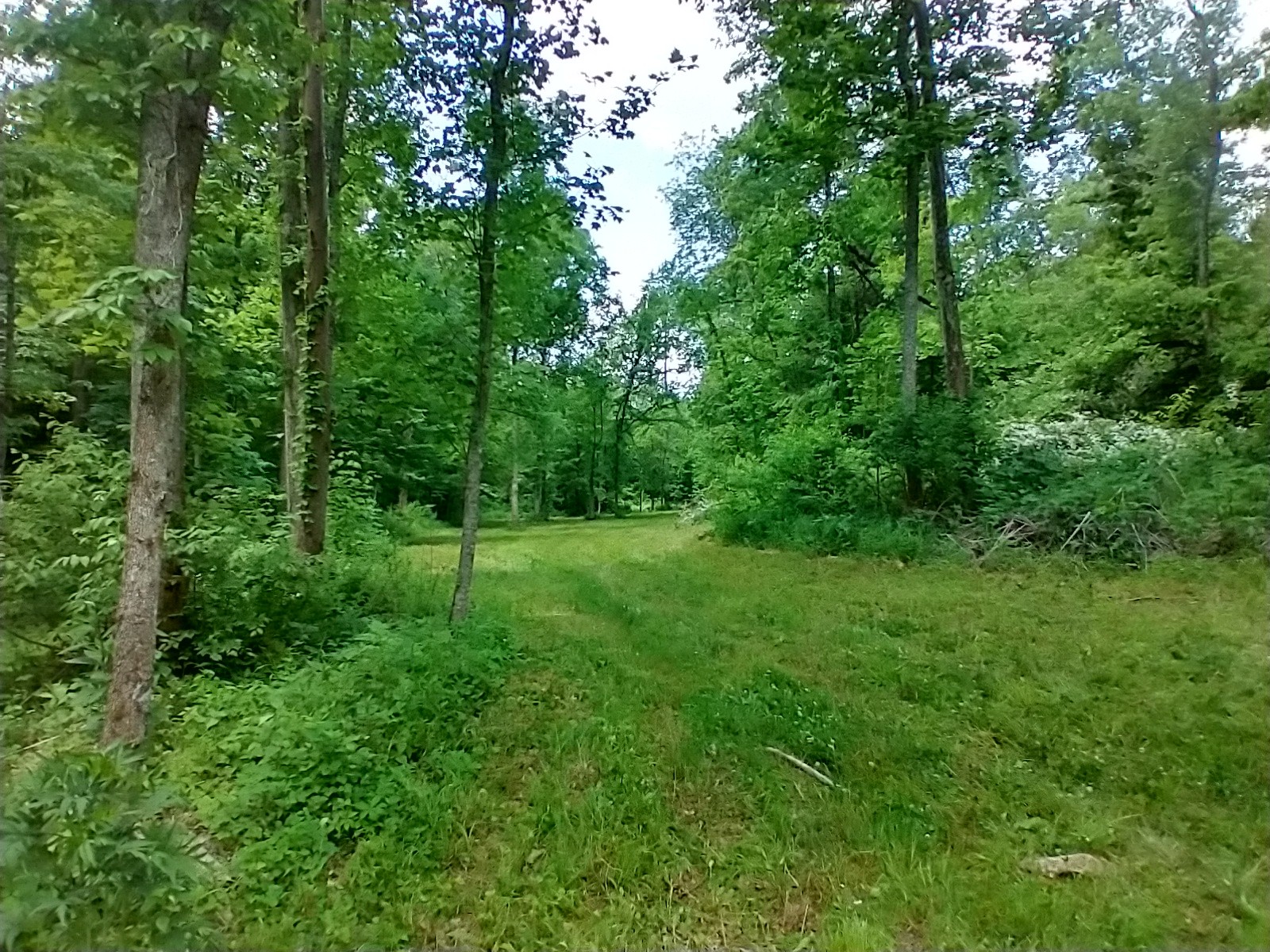 7500 Antioch Road Smithville, TN 37166 - Photo 18 of 36 Gallery Image 18