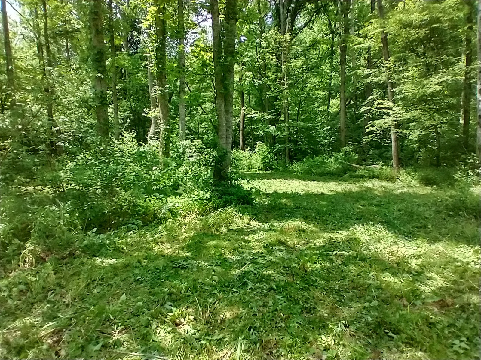 7500 Antioch Road Smithville, TN 37166 - Photo 5 of 36 Gallery Image 5