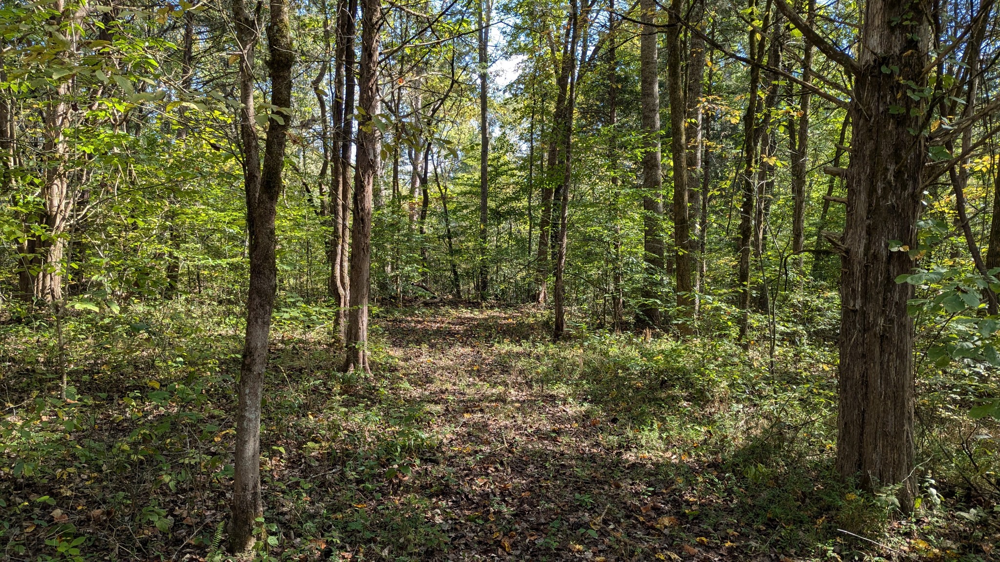 7500 Antioch Road Smithville, TN 37166 - Photo 7 of 36 Gallery Image 7