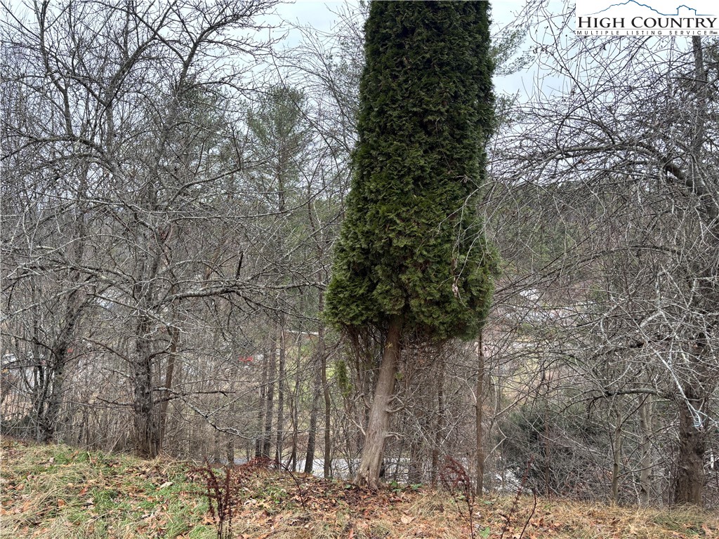 206 Bryant Combs Road Sugar Grove, NC 28679 - Photo 34 of 34