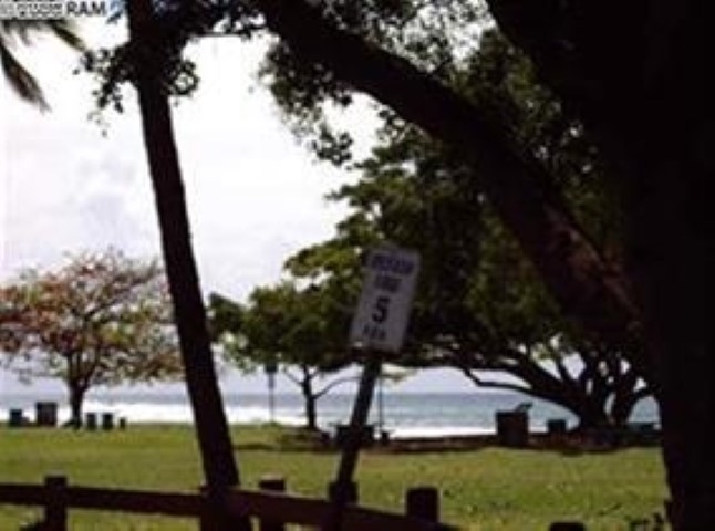 3676 Lower Honoapiilani Road, Unit E304 Lahaina, HI 96761 - Photo 3 of 3 a view of backyard with tree