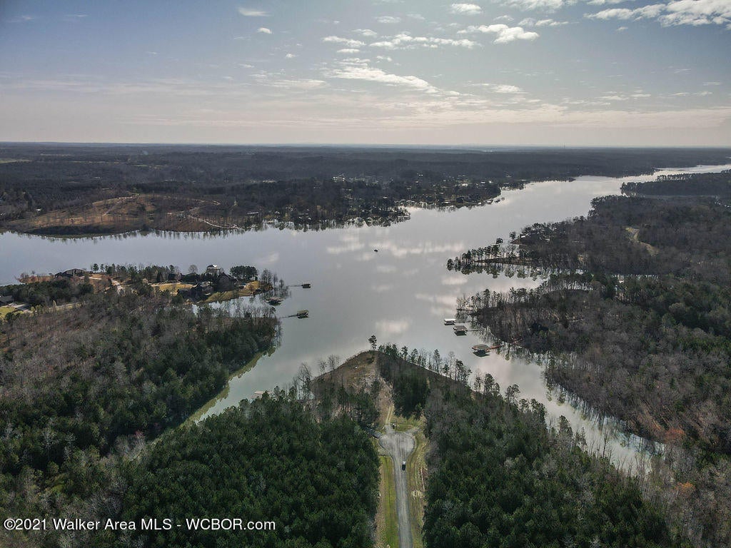 Lot#89 Stoney Point Road North Double Springs, AL 35553 - Photo 19 of 32 Gallery Image 19