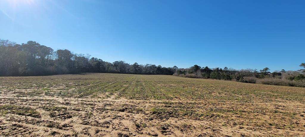50.45-acres Trawick Road Dothan, AL 36301 - Photo 37 of 62