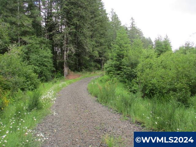 0 Northwest Fairdale Road Yamhill, OR 97148 - Photo 12 of 27