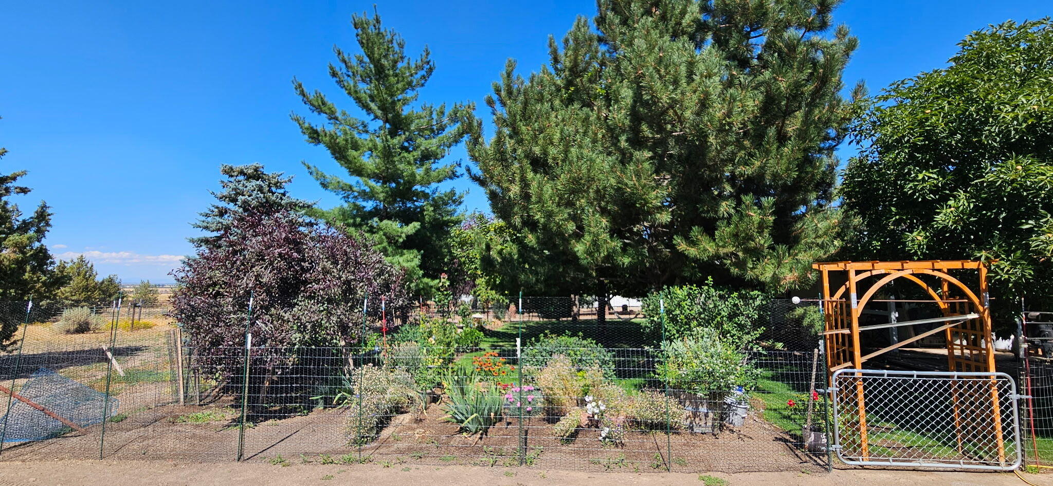 10220 Southwest Ruth Drive Culver, OR 97734 - Photo 22 of 28 8458764814123566755