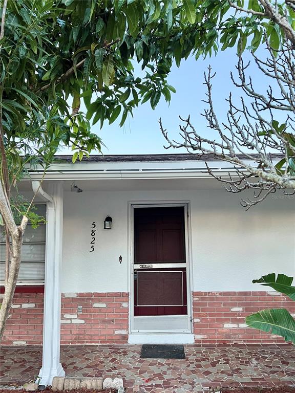5825 Elm Street New Port Richey, FL 34652 - Photo 16 of 16