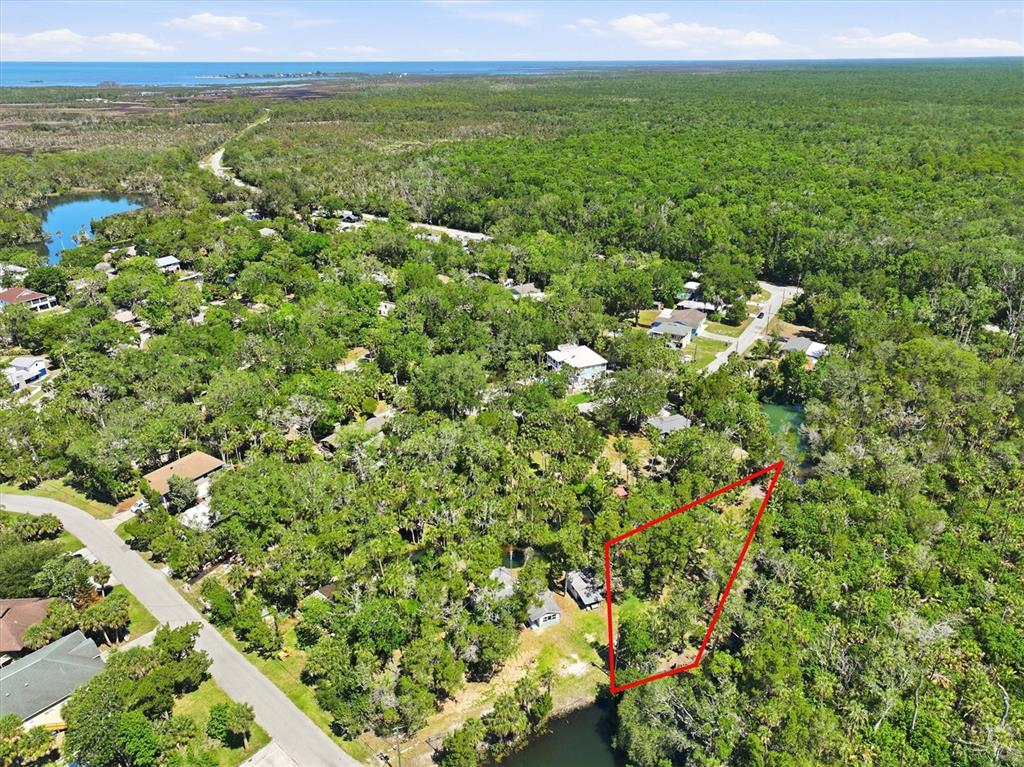 6248 Colony Circle Weeki Wachee, FL 34607 - Photo 14 of 20 a view of a green field with lots of bushes