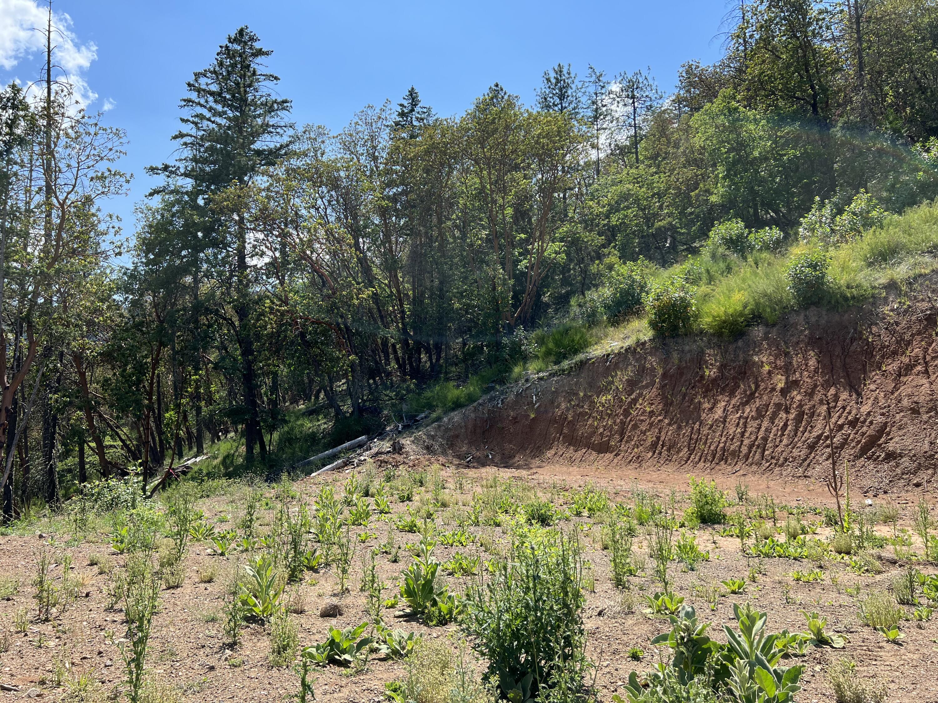 6744 Coleman Creek Road Medford, OR 97501 - Photo 19 of 21 IMG_8978