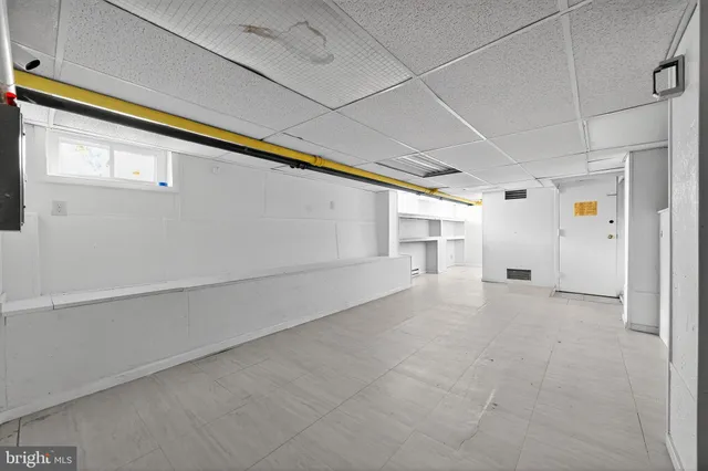 a room with lots of trees