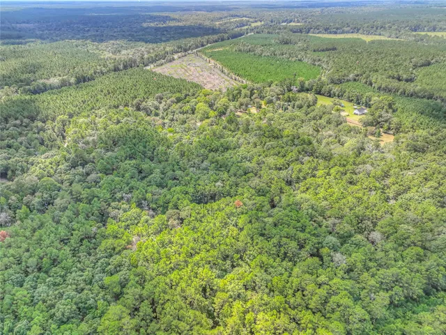 $699,900 | 446 County Road 3550, Woodville, TX 75979