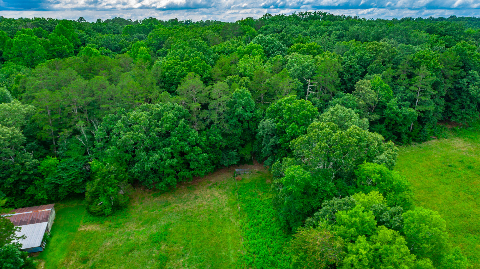 1230 Baggett Road Ringgold, GA 30736 - Photo 43 of 54 Baggett Road Lot HD-44