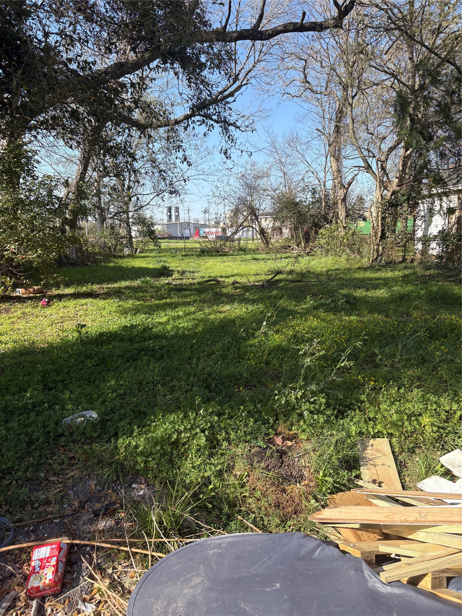 a garden view with a space