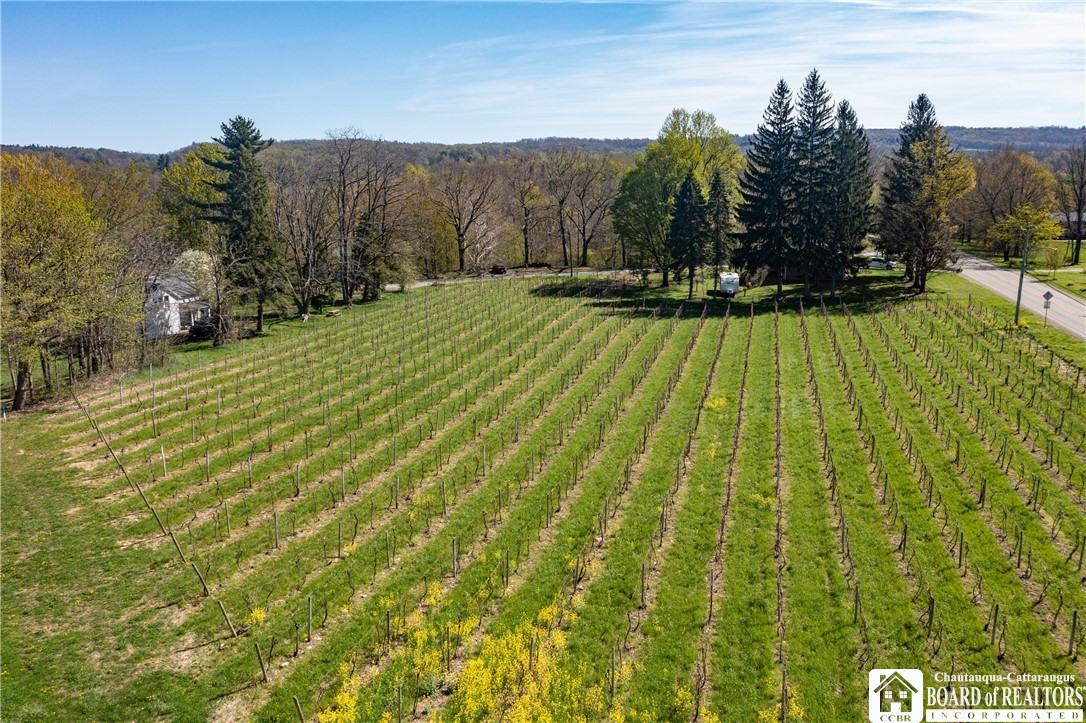 Chestnut Street Westfield, NY 14787 - Photo 2 of 12