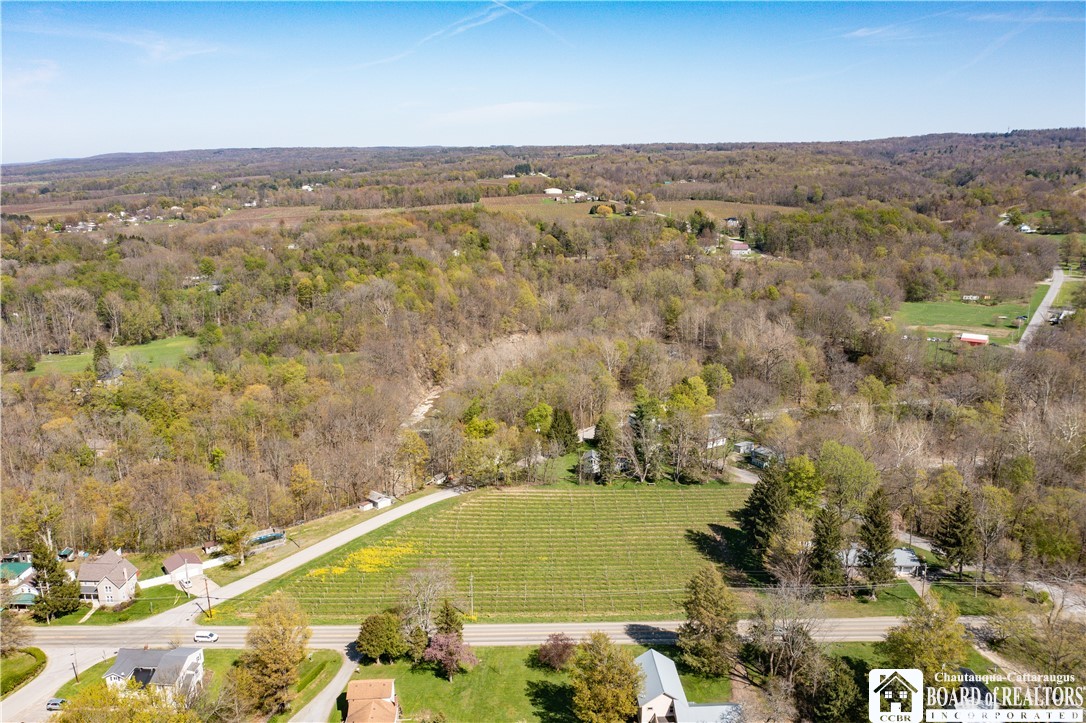 Chestnut Street Westfield, NY 14787 - Photo 4 of 12