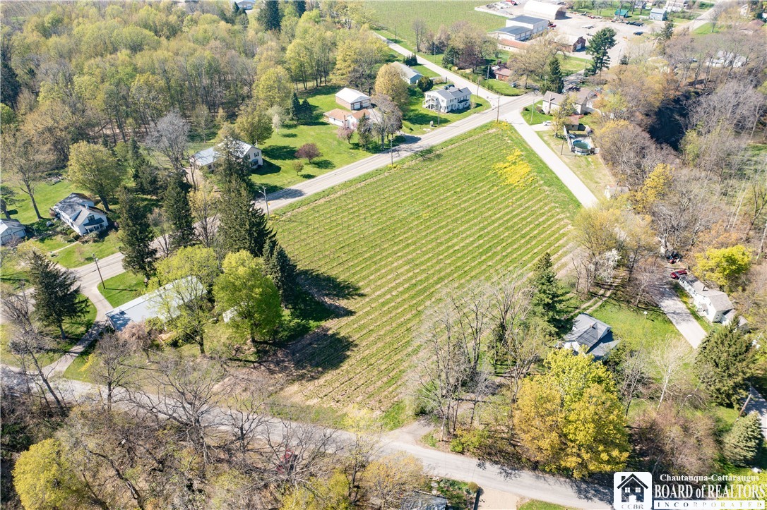 Chestnut Street Westfield, NY 14787 - Photo 10 of 12