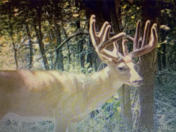 $449,999 | 23800 Foxtrot Lane, Kirksville, MO 63501