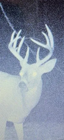 $449,999 | 23800 Foxtrot Lane, Kirksville, MO 63501