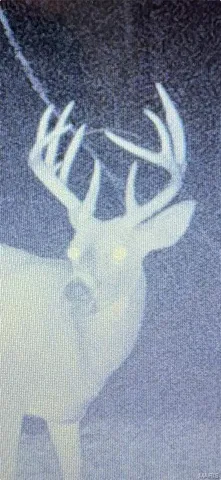 $475,000 | 23800 Foxtrot Lane, Kirksville, MO 63501