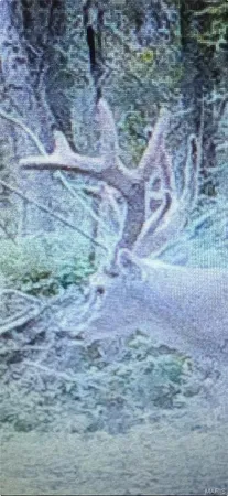 $449,999 | 23800 Foxtrot Lane, Kirksville, MO 63501