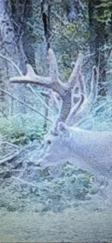 $475,000 | 23800 Foxtrot Lane, Kirksville, MO 63501