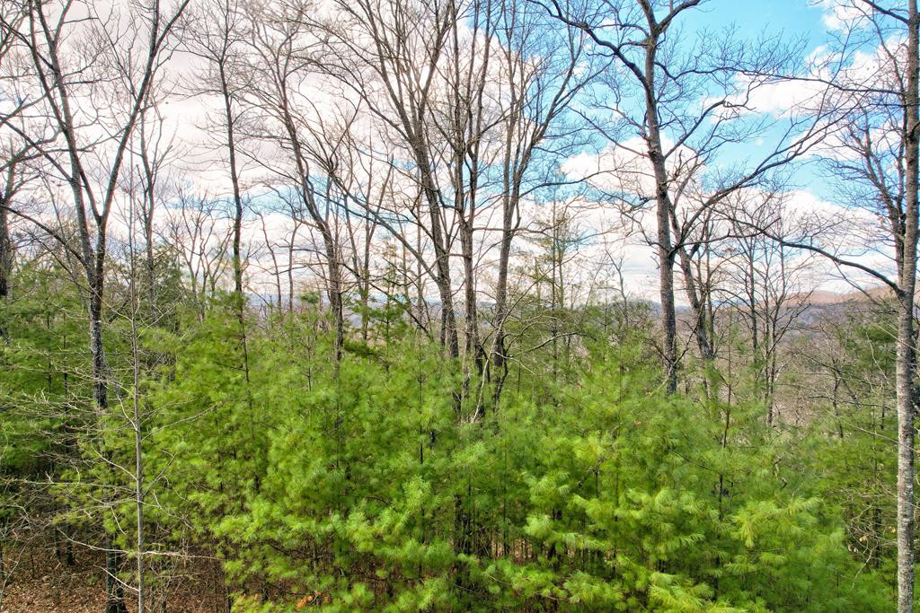 22-24 Rye Field Road Murphy, NC 28906 - Photo 1 of 26 Main View