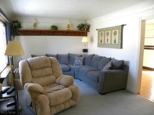32975 Bagley Road North Ridgeville, OH 44039 - Photo 2 of 12 Gallery Image 2