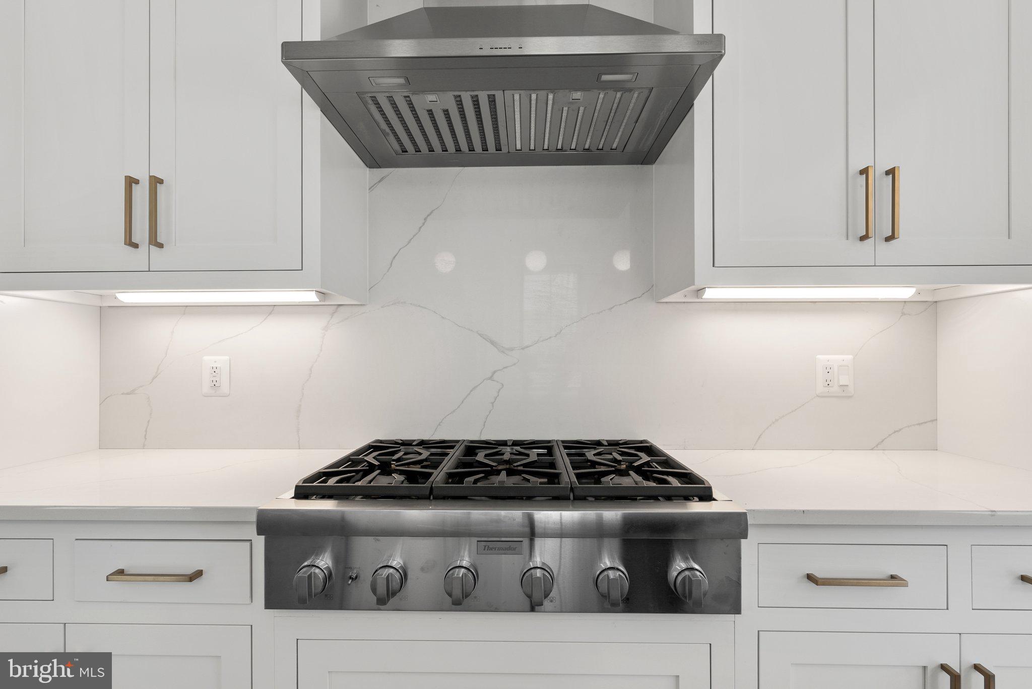 3713 R Street Northwest Washington, DC 20007 - Photo 14 of 48 State of the Art Kitchen