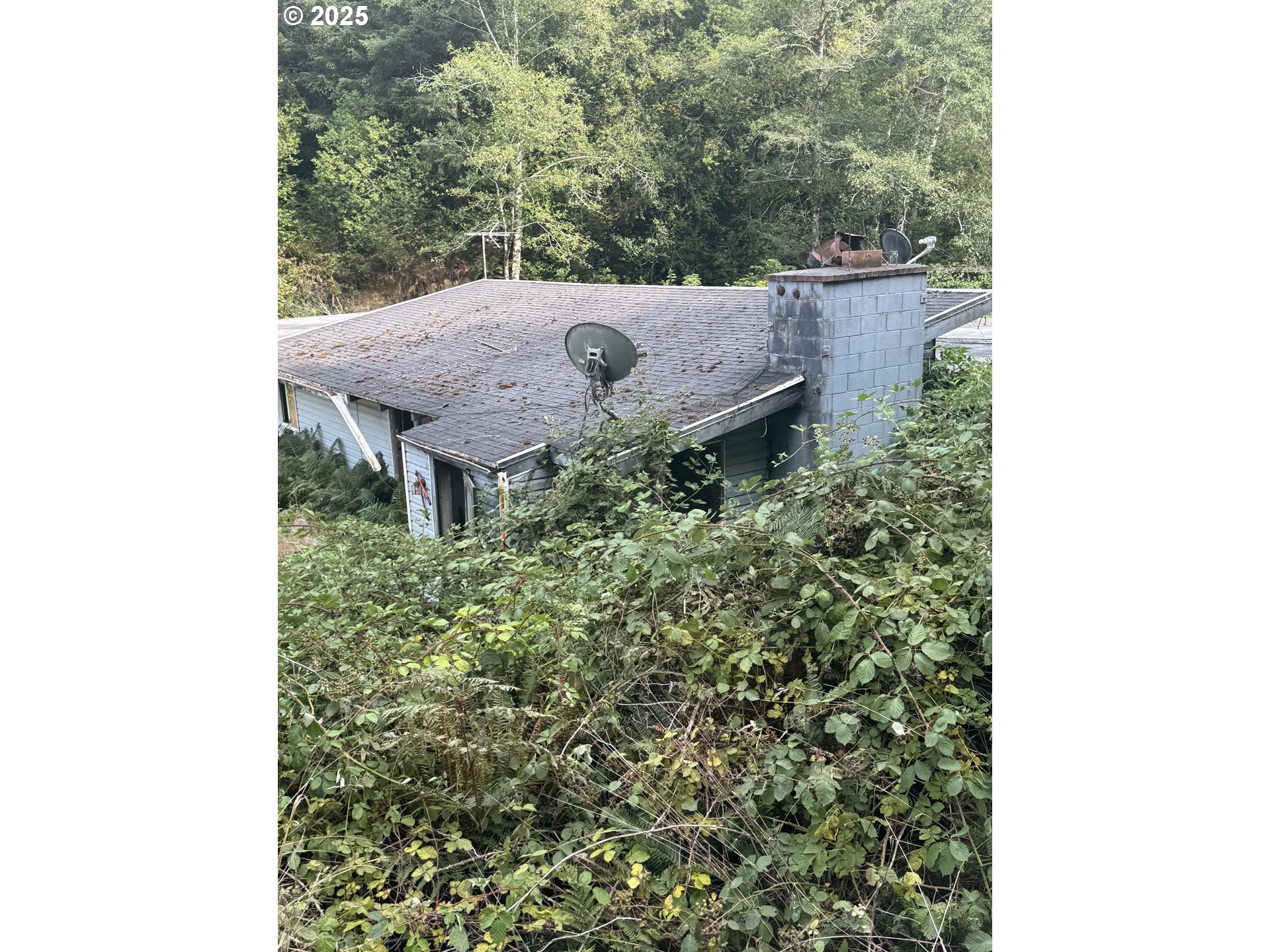 a view of a house with a small yard and a forest