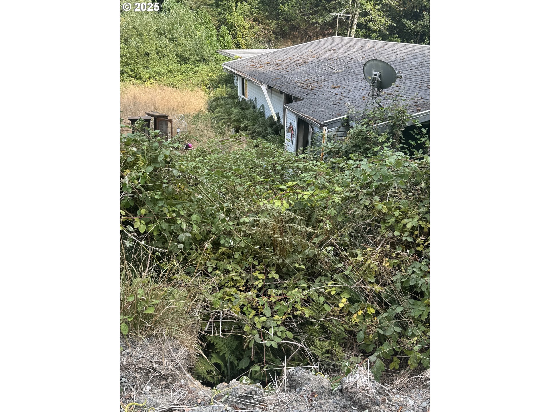 33155 Cedar Valley Drive Gold Beach, OR 97444 - Photo 3 of 14