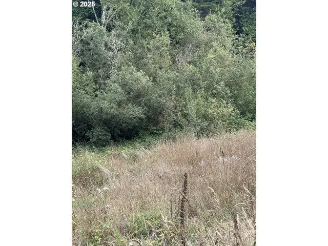 $129,000 | 33155 Cedar Valley Drive, Gold Beach, OR 97444