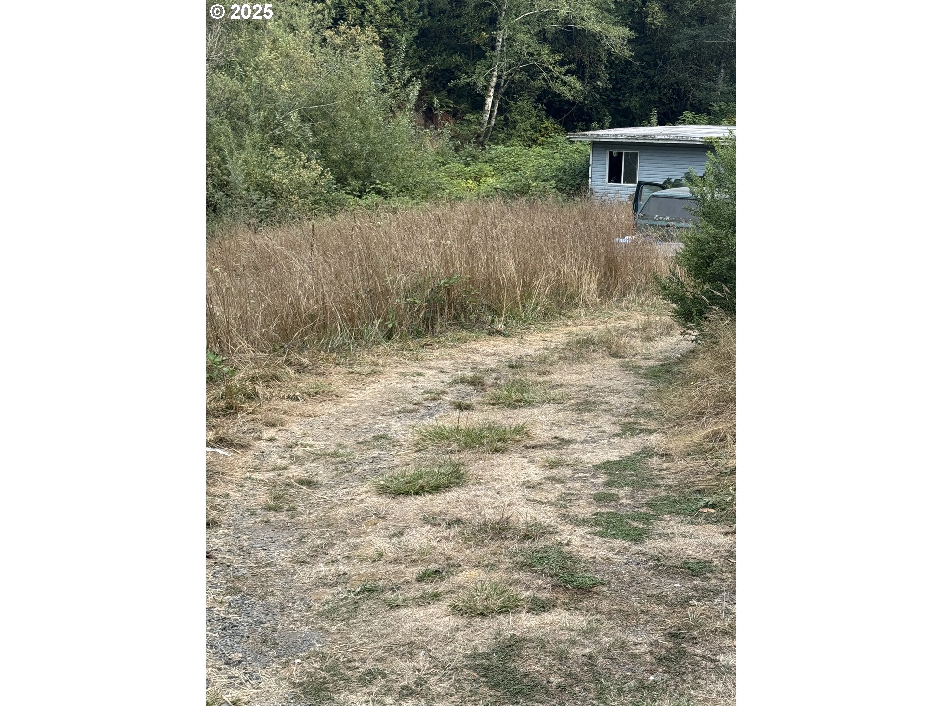 33155 Cedar Valley Drive Gold Beach, OR 97444 - Photo 6 of 14 a view of a yard