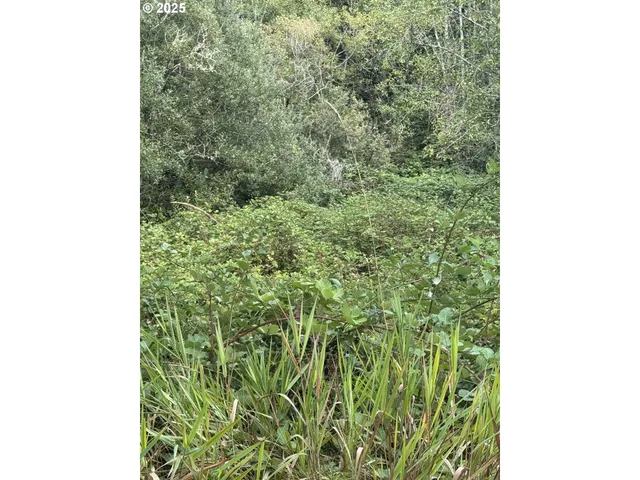 $129,000 | 33155 Cedar Valley Drive, Gold Beach, OR 97444