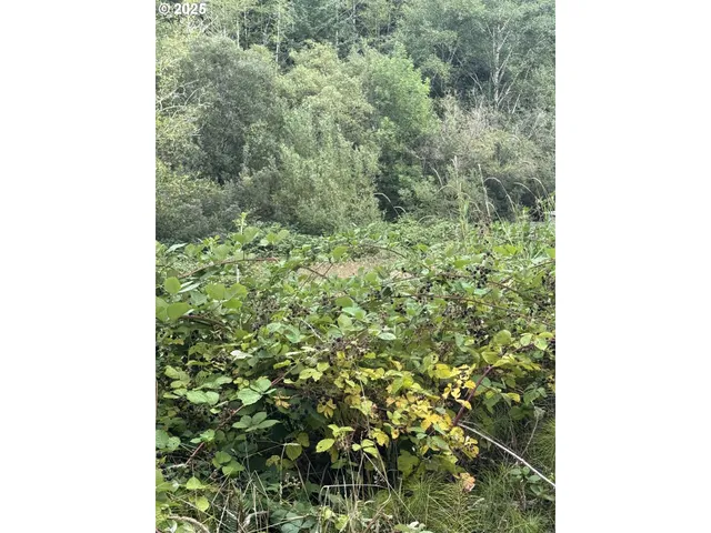 $129,000 | 33155 Cedar Valley Drive, Gold Beach, OR 97444