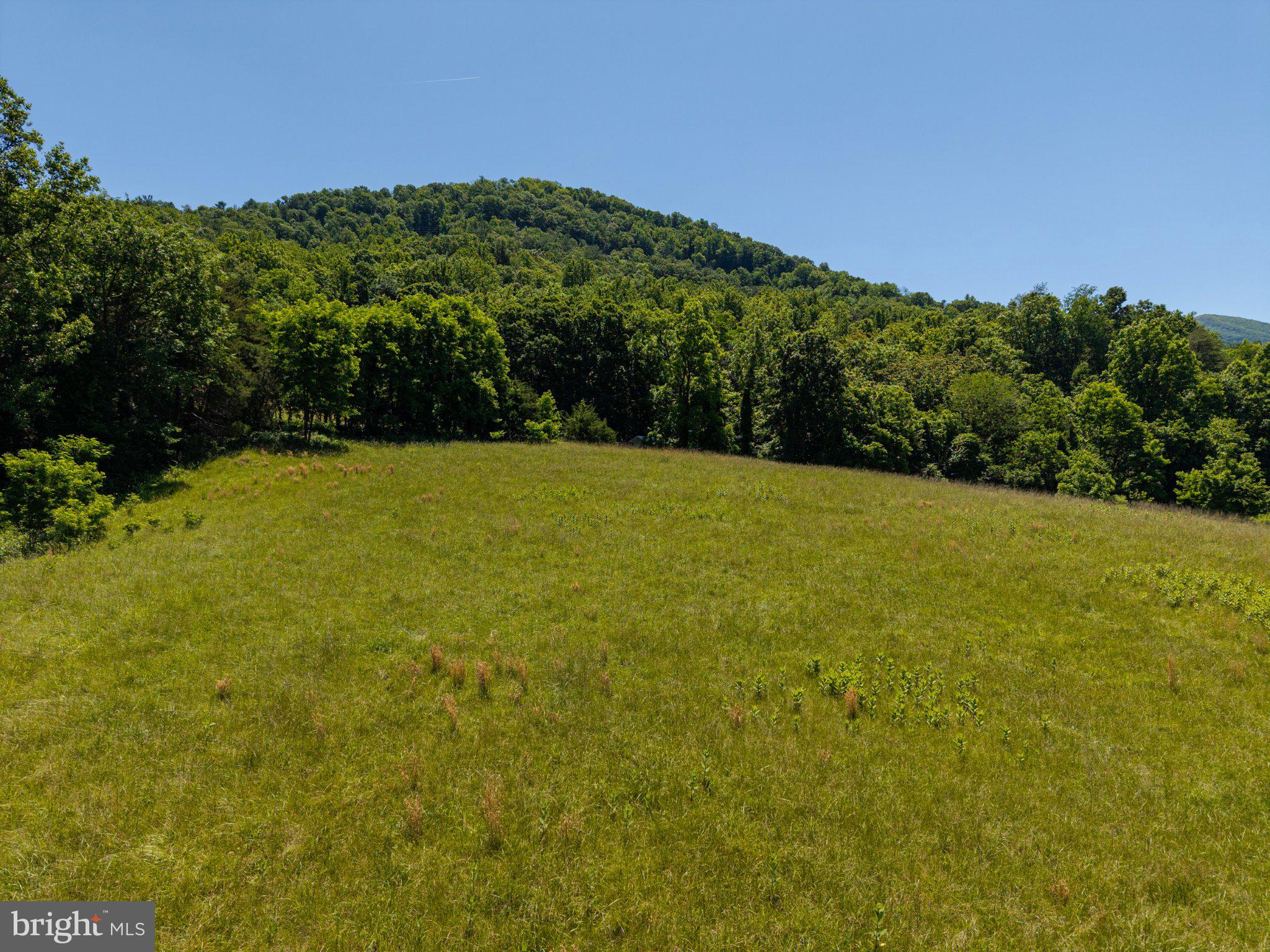 3257 Ida Road Luray, VA 22835 - Photo 32 of 36 pasture behind guest house