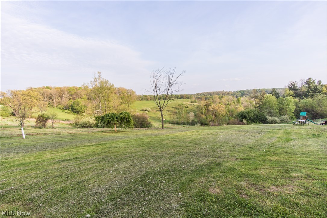 3230 Gorge Road Southwest Dellroy, OH 44620 - Photo 6 of 27