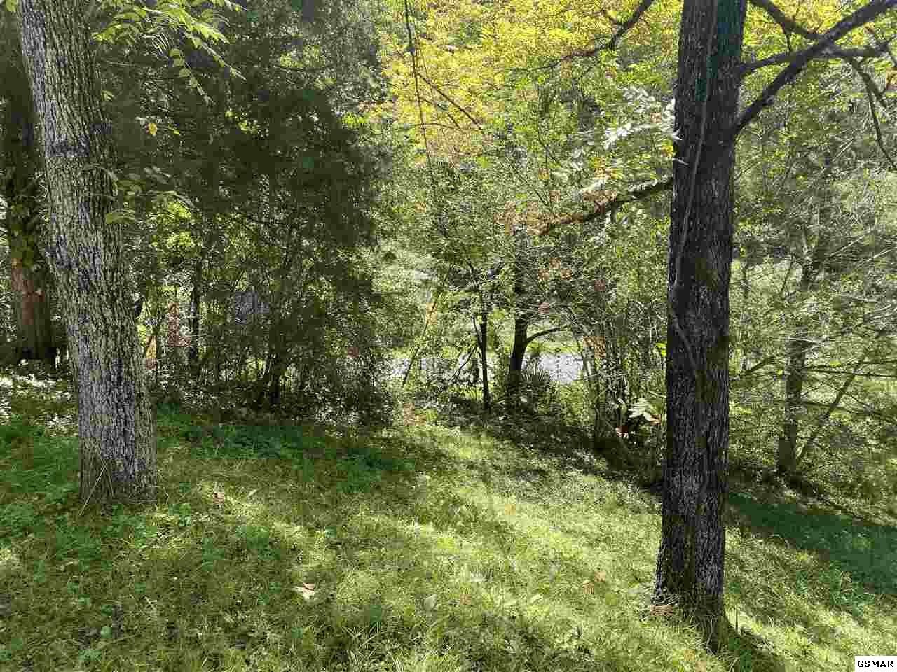 909 Stinnett Ridge Road Cosby, TN 37722 - Photo 7 of 35