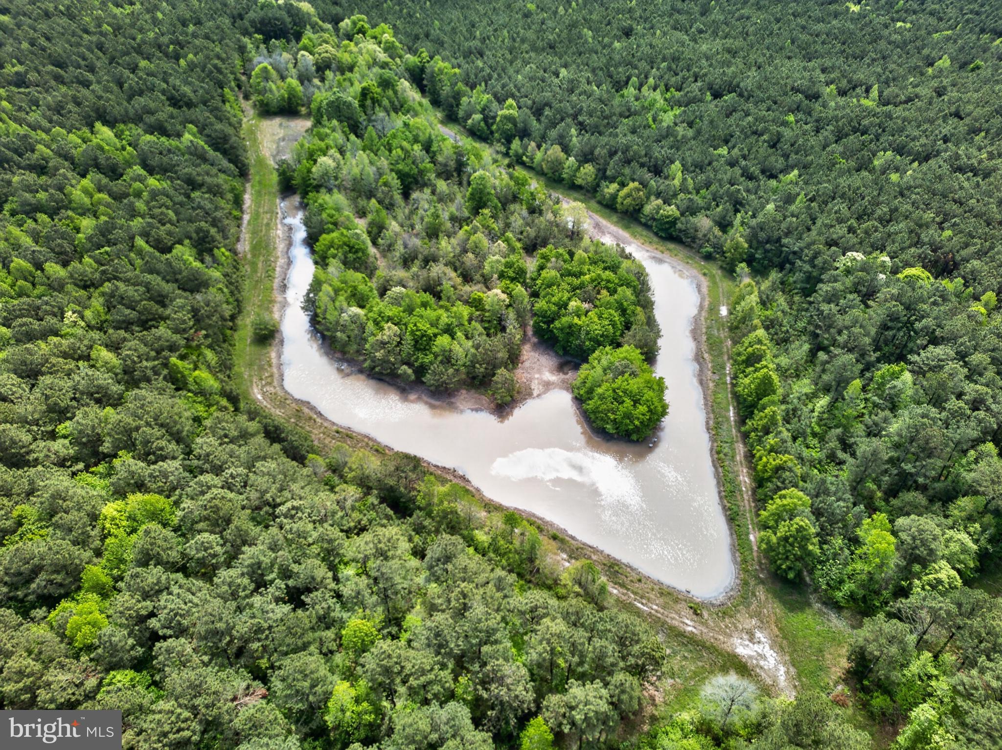 2435 Payne Road Pocomoke City, MD 21851 - Photo 13 of 75 Serene pond nestled in lush greenery.