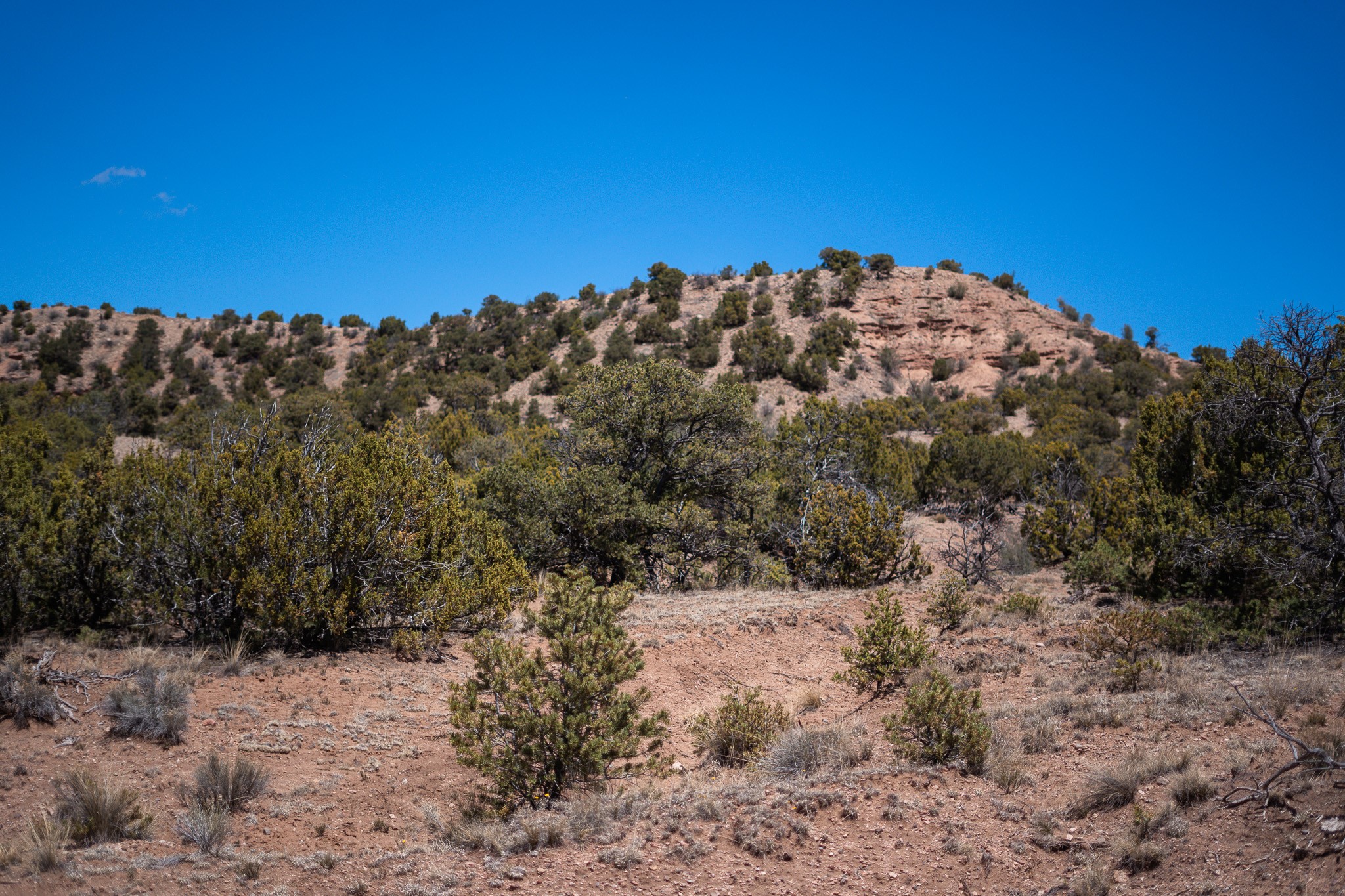 67-acres Red Ridge Santa Fe, NM 87501 - Photo 8 of 40 North Lot