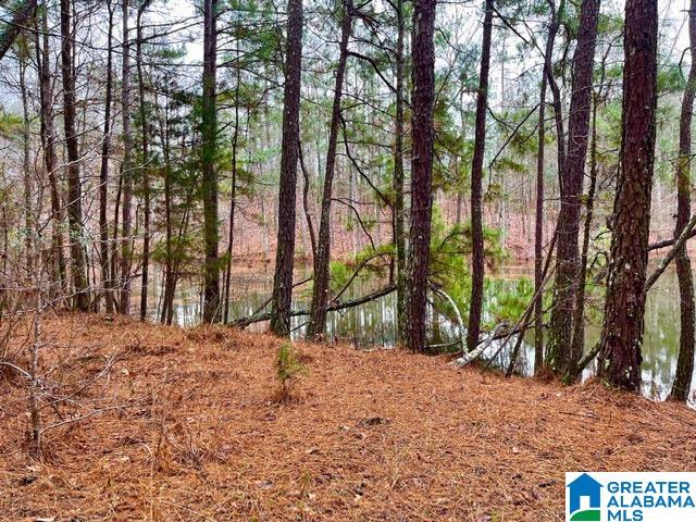 0 Deaver Walker Road Trafford, AL 35172 - Photo 10 of 28