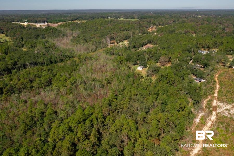 3081 Ricky Lane Chunchula, AL 36521 - Photo 35 of 36