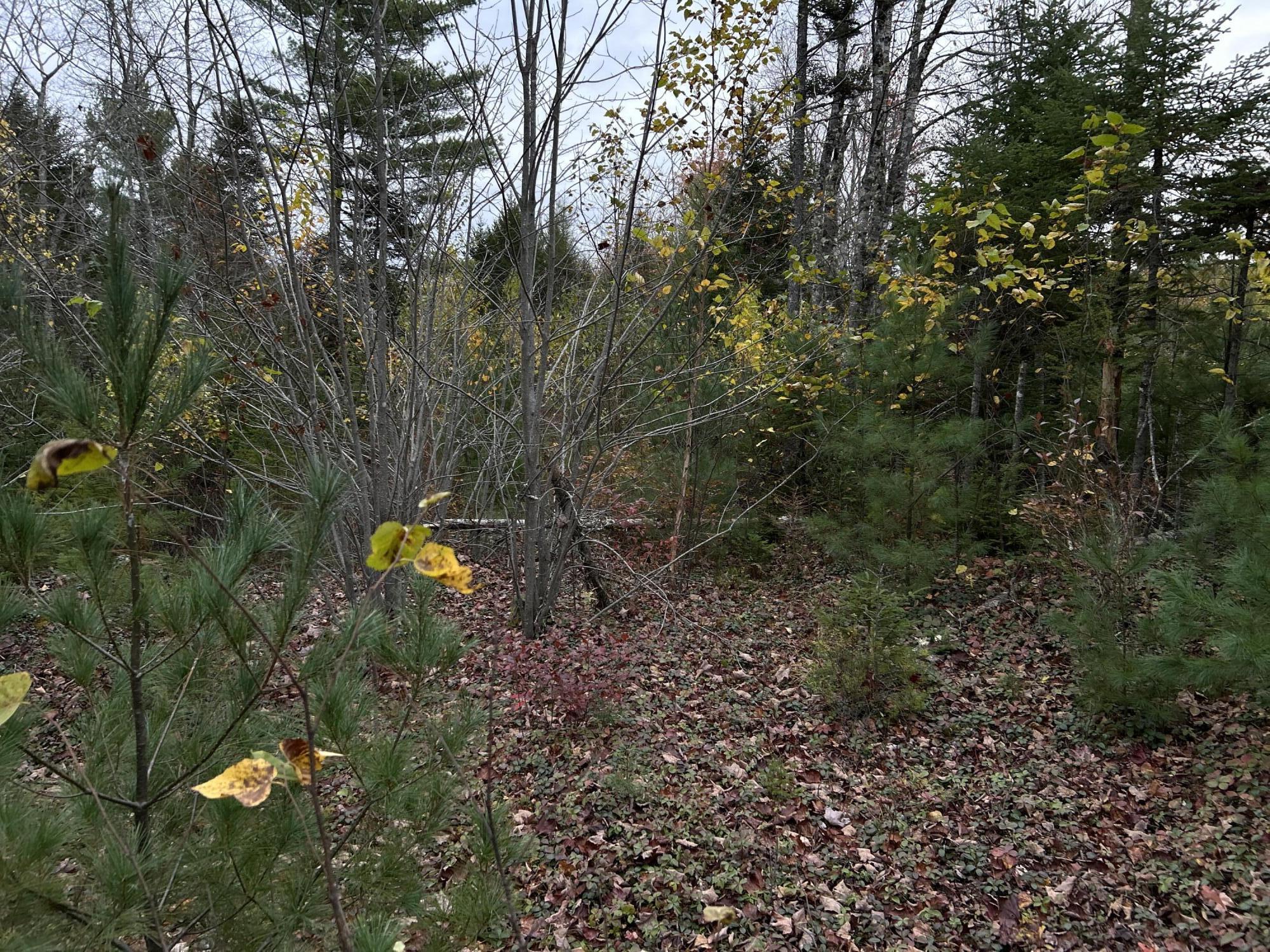 401 Genthner Road Waldoboro, ME 04572 - Photo 26 of 35