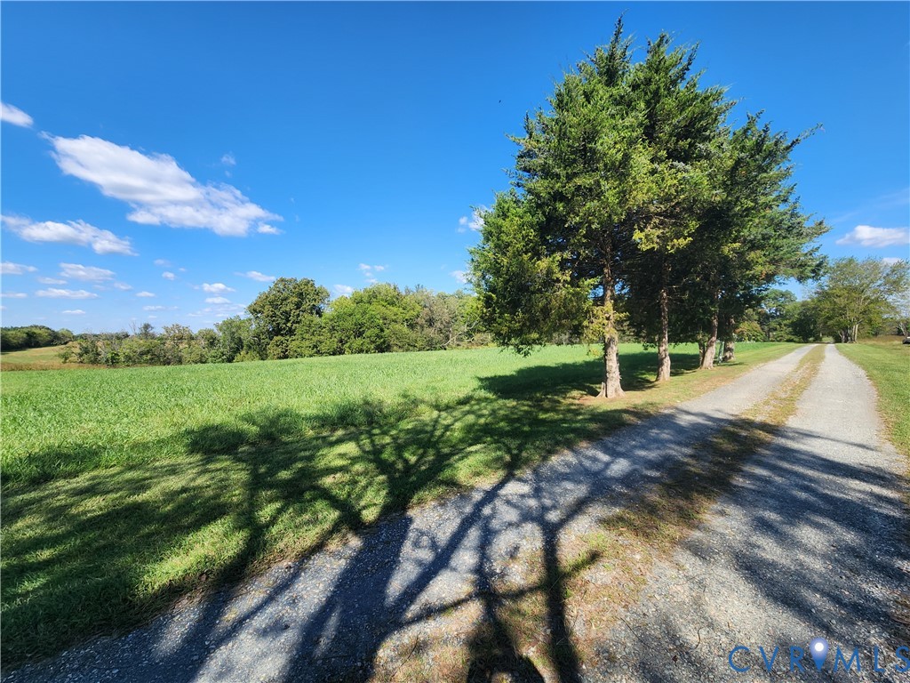 542 Ampthill Road Cartersville, VA 23027 - Photo 39 of 43 Cedar lined driveway.