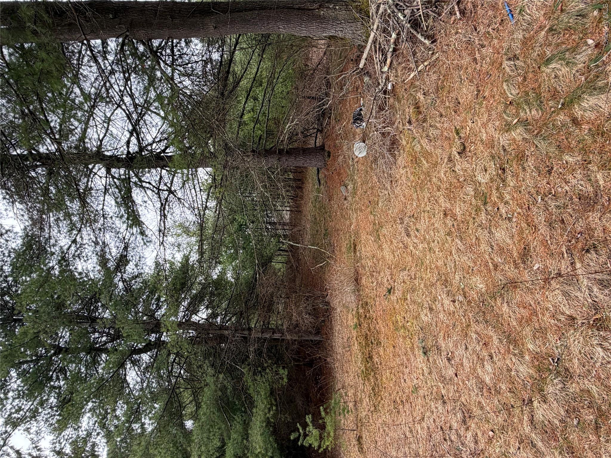 378 Gregory Road Monticello, NY 12701 - Photo 21 of 40